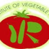 Indian Institute of Vegetable Research logo