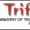 Consultant-Designer jobs at TRIFED in New Delhi 2012