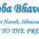 Shri Vinoba Bhave Civil Hospital