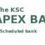 The Karnataka State Co-Operative Apex Bank Ltd