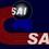 Sports Authority of India 