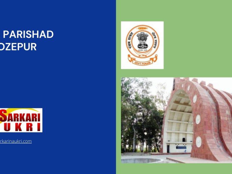 Zila Parishad Ferozepur Recruitment