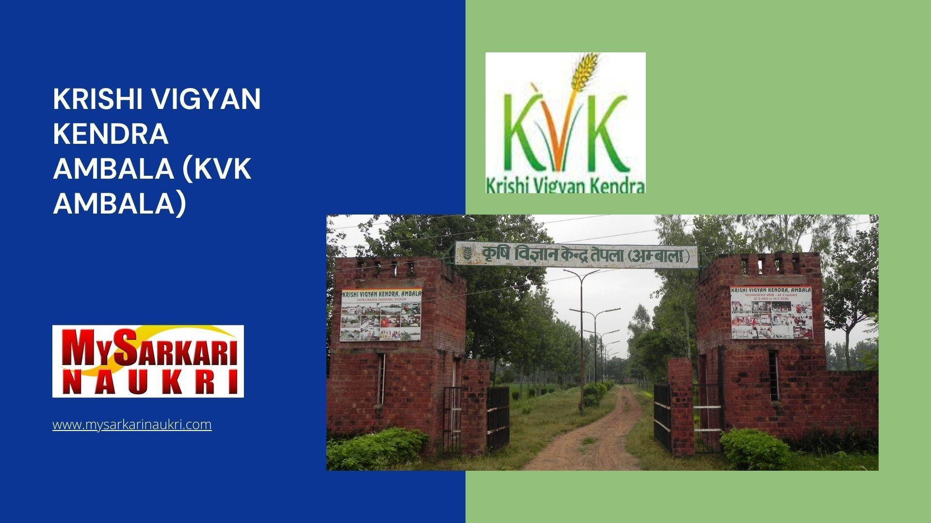 Krishi Vigyan Kendra Ambala (KVK Ambala) Recruitment