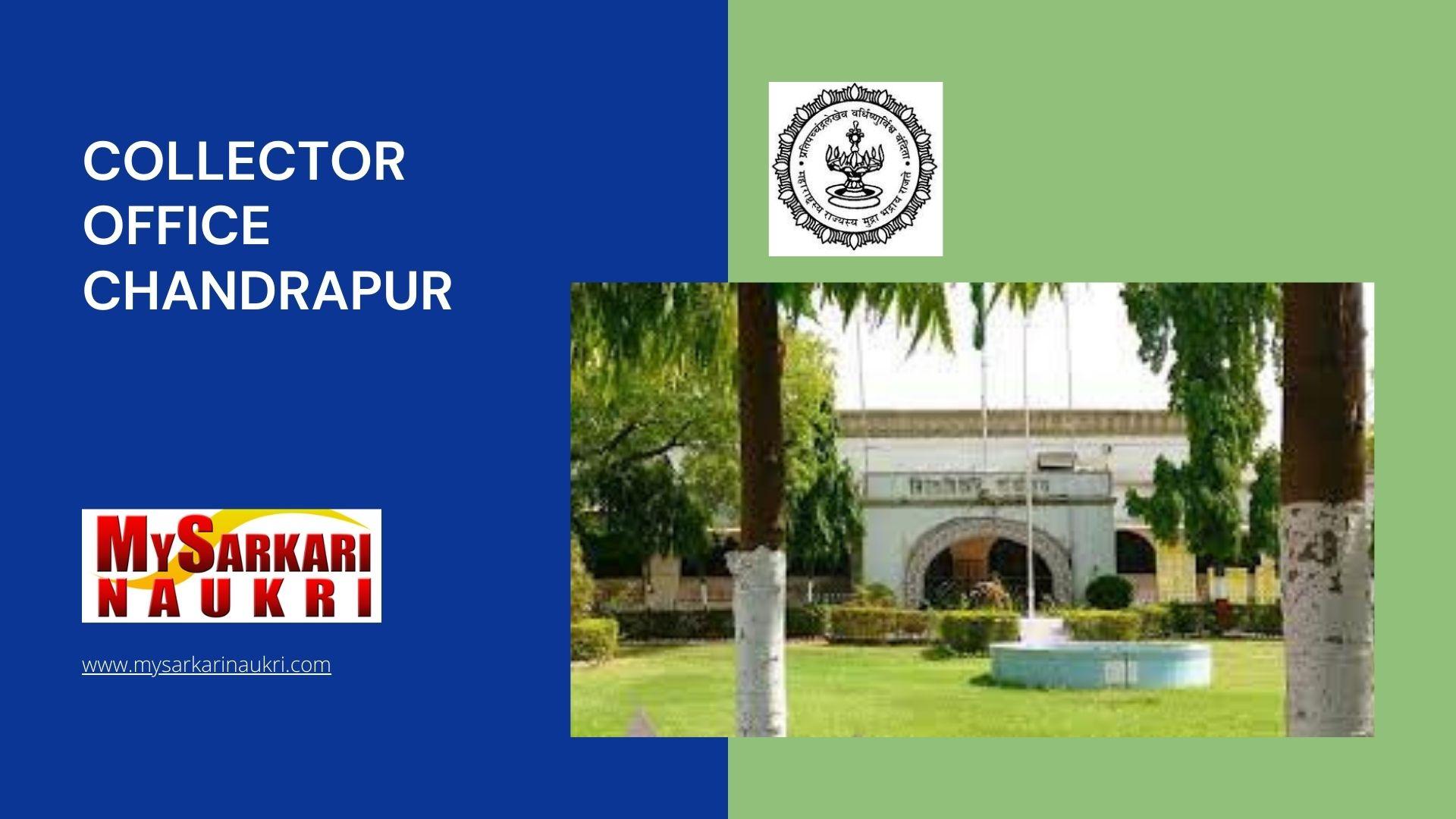 Collector Office Chandrapur Recruitment