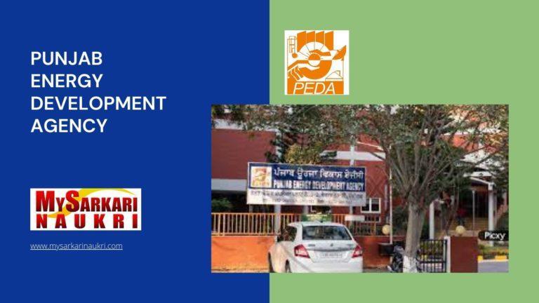 Punjab Energy Development Agency Recruitment
