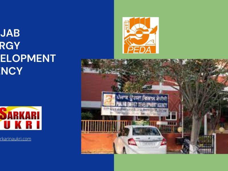 Punjab Energy Development Agency Recruitment