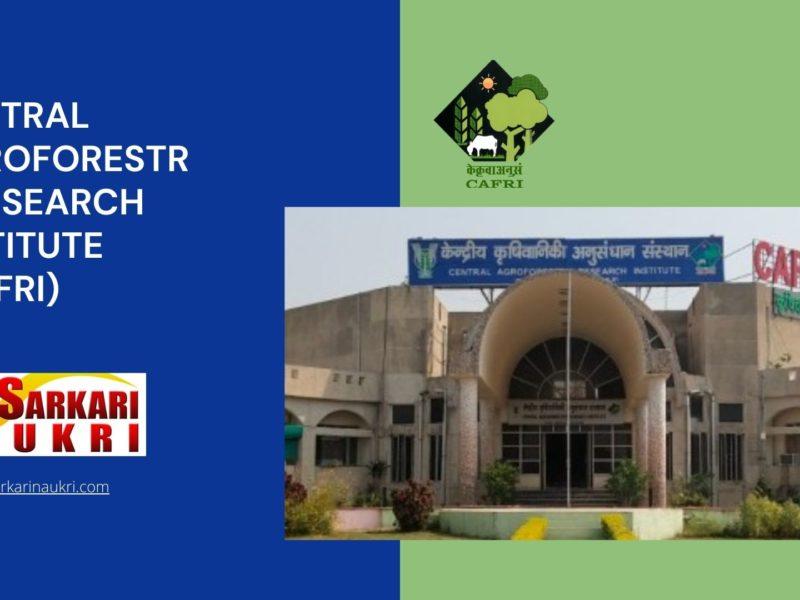Central Agroforestry Research Institute (CAFRI) Recruitment