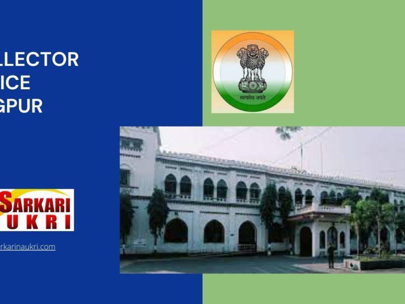 Collector Office Nagpur Recruitment