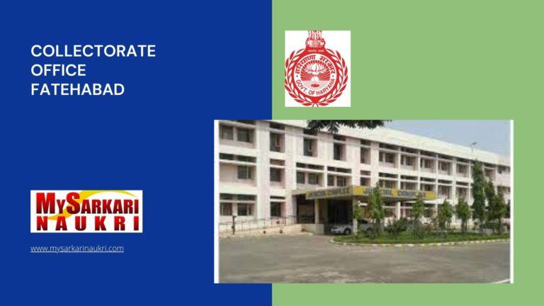 Collectorate Office Fatehabad Recruitment