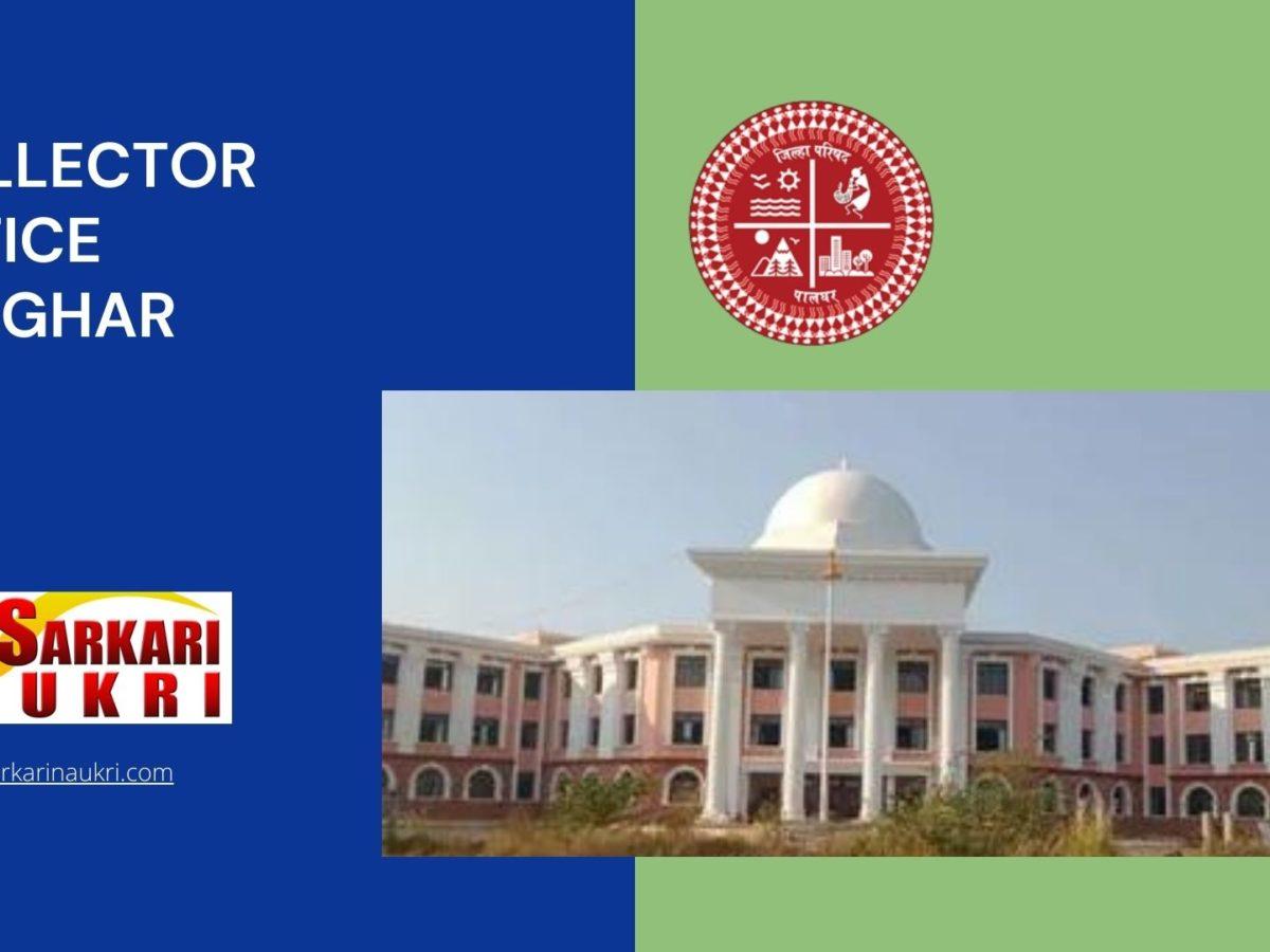 Collector Office Palghar Recruitment