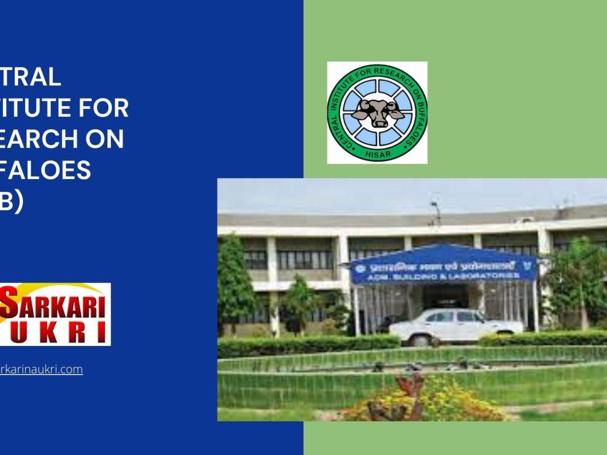 Central Institute For Research On Buffaloes (CIRB) Recruitment