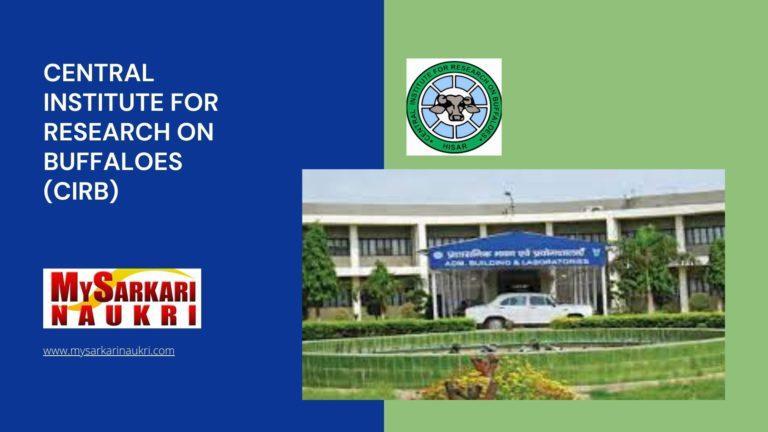 Central Institute For Research On Buffaloes (CIRB) Recruitment