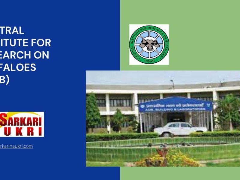 Central Institute For Research On Buffaloes (CIRB) Recruitment