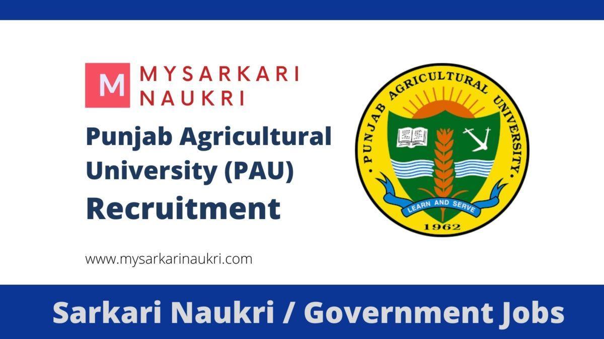 PAU Recruitment 2023 Punjab Agricultural University Jobs