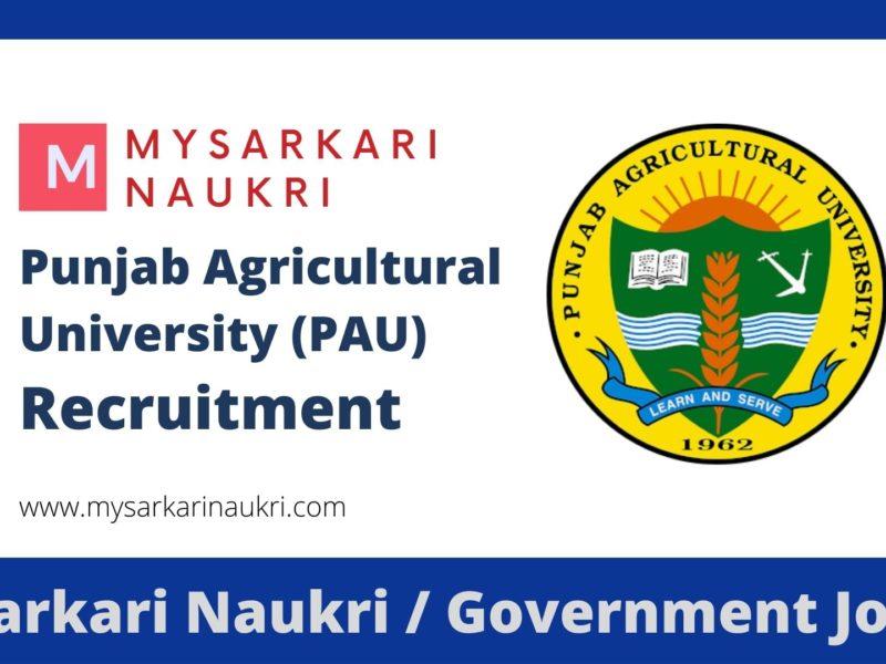 PAU Recruitment 2023 Punjab Agricultural University Jobs