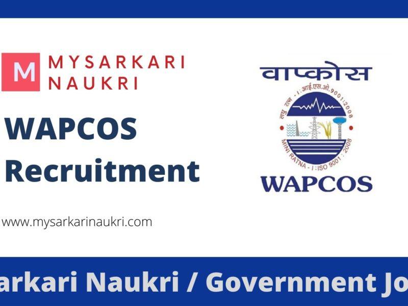 WAPCOS Limited Recruitment 2023
