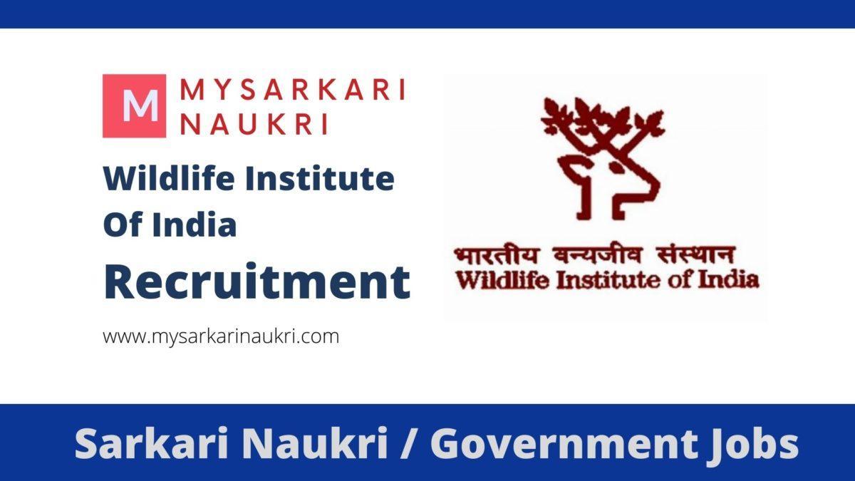 WII Recruitment 2023 Wildlife Institute of India Jobs