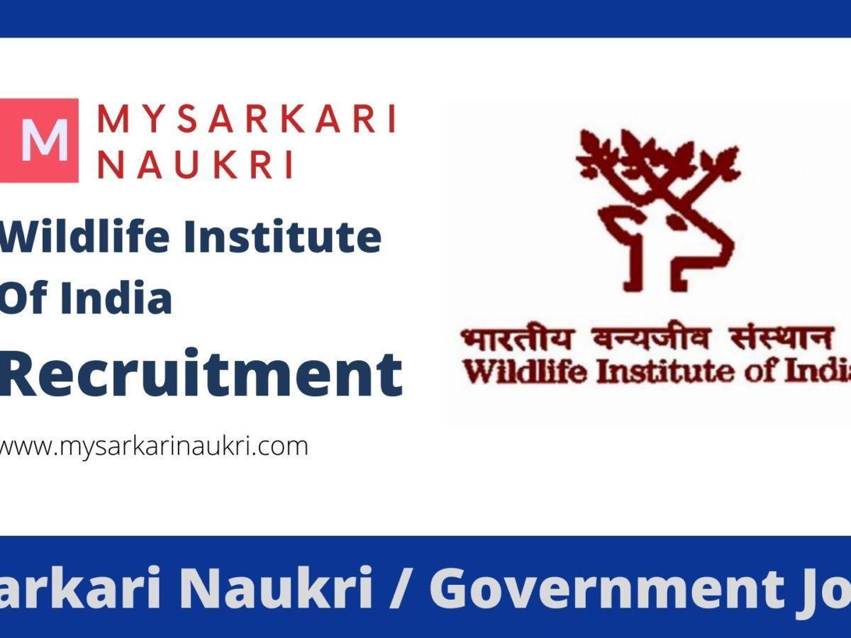 WII Recruitment 2023 Wildlife Institute of India Jobs