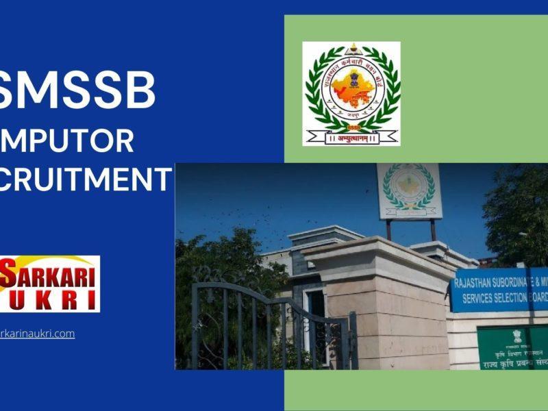 RSMSSB Computer Recruitment