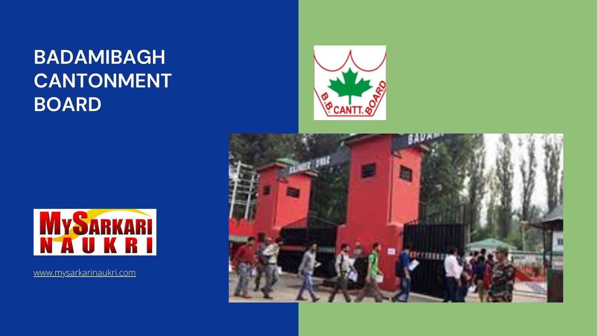 Badamibagh Cantonment Board Recruitment