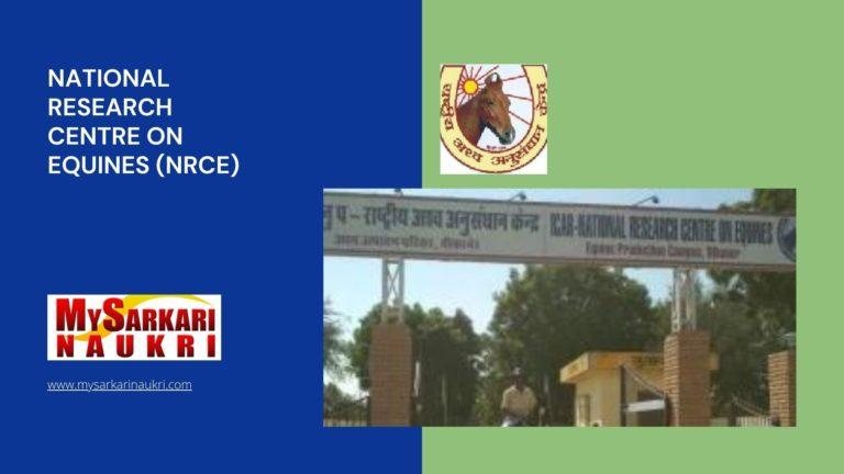 National Research Centre on Equines (NRCE) Recruitment