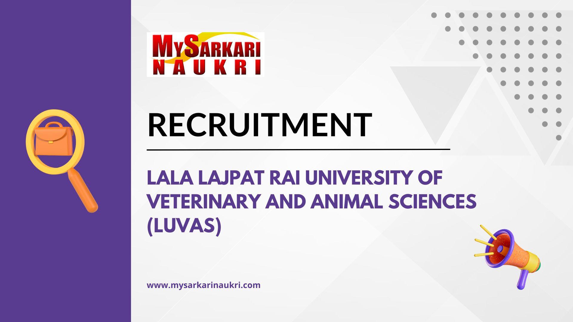 Lala Lajpat Rai University of Veterinary and Animal Sciences (LUVAS) Recruitment