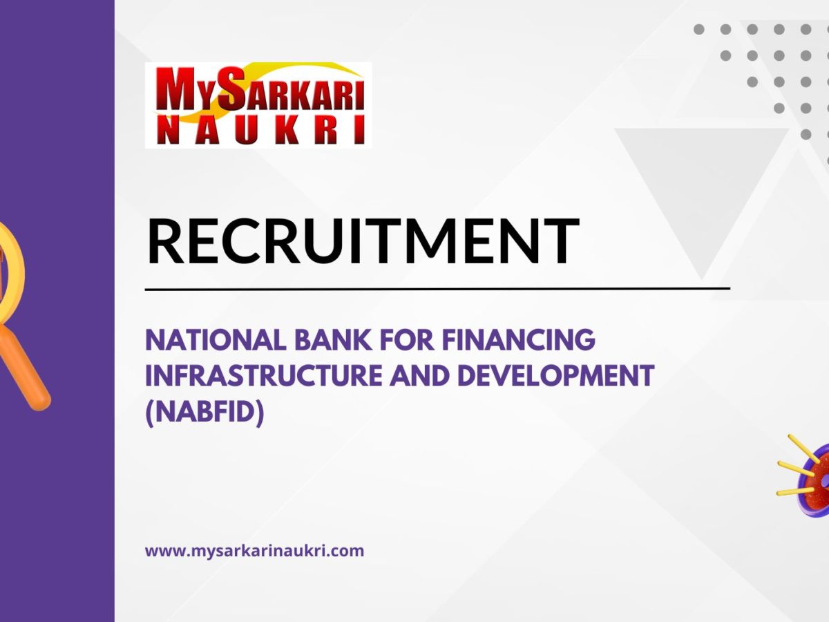 National Bank for Financing Infrastructure and Development (NaBFID)