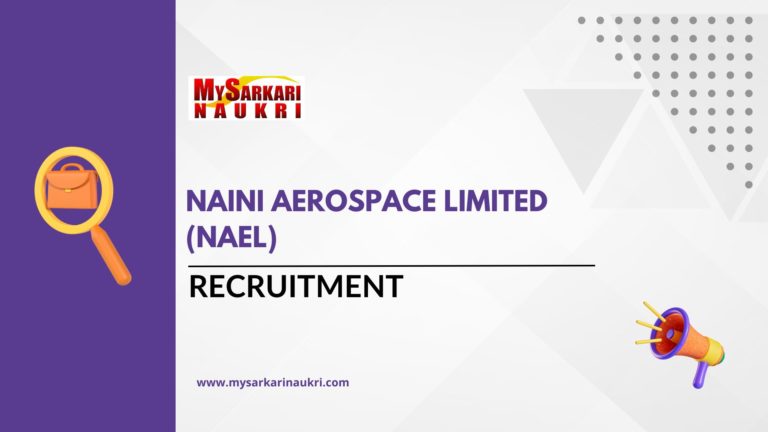 Naini Aerospace Limited (NAeL)