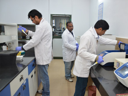 National Research Centre On Yak