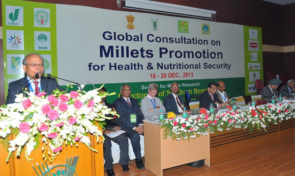 Indian Institute of Millets Research