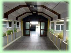 Directorate of Horticulture