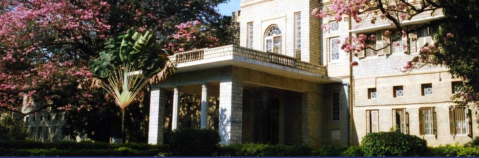 National Institute of Mental Health and Neuro Sciences