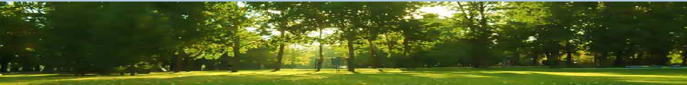 Greater Noida Industrial Development Authority