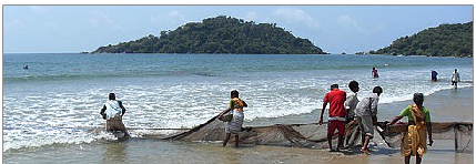 Department of Animal Husbandry Dairying and Fisheries