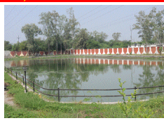 Regional Medical Research Centre For Tribals