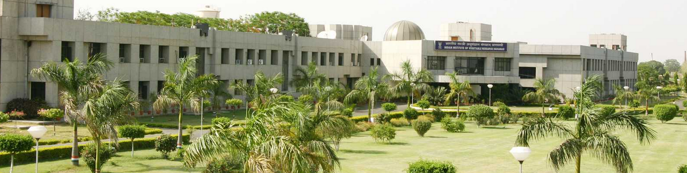 Indian Institute of Vegetable Research
