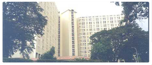 Directorate of Purchase and Stores