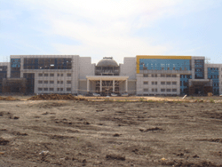 Raichur Institute of Medical Sciences