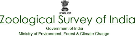 Zoological Survey of India