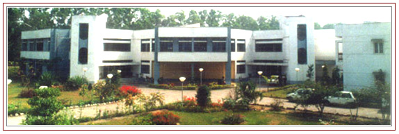 Indian Institute of Bank Management