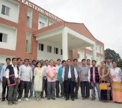 North Eastern Institute of Folk Medicine (NEIFM)