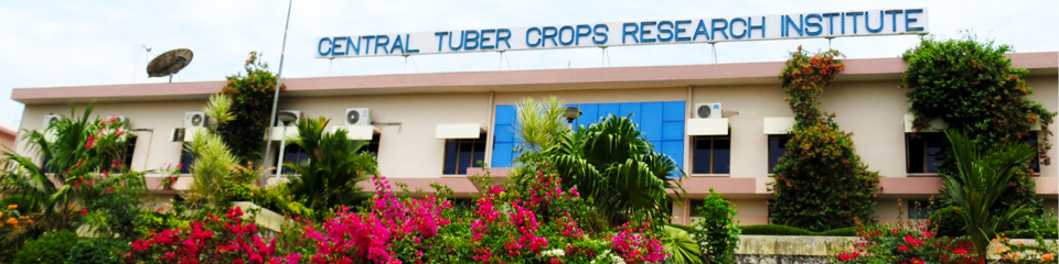Central Tuber Crops Research Institute