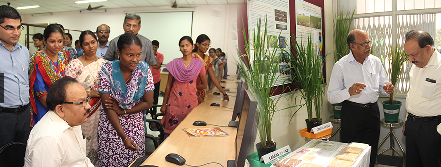 Department of Biotechnology