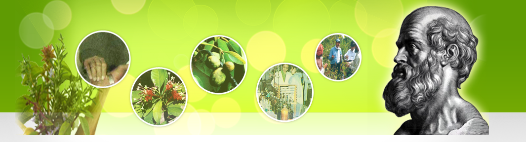 Central Council for Research in Unani Medicine