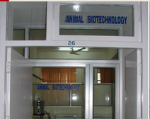 Guru Angad Dev Veterinary and Animal Sciences University