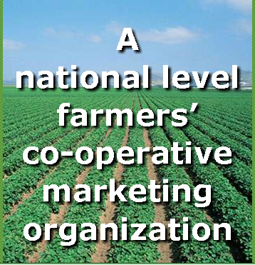 National Agricultural Cooperative Marketing Fedration