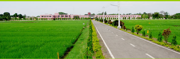 Central Rice Research Institute
