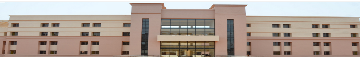 National Institute of Science Education and Research