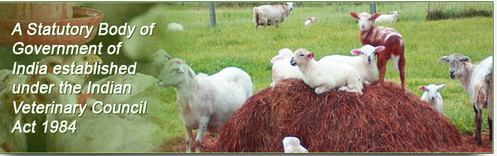Veterinary Council of India