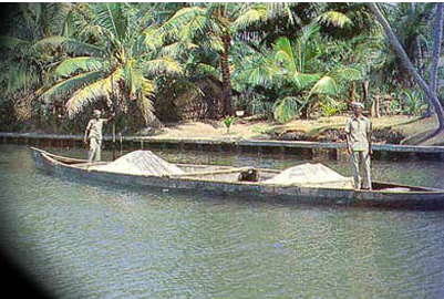 Indian Rare Earths Limited